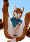  anthro anus balls bottomless brown_fur butt canine censored clothed clothing erection fur hi_res humanoid_penis leno_woof male mammal pawpads penis perineum precum red_eyes shirt solo t-shirt white_fur 