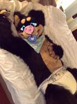  ageplay bed blush canine diaper dog dracky edit fursuit looking_at_viewer lying mammal navel pacifier phone photo real smile 
