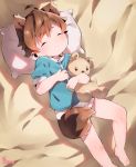 2018 absurd_res ahoge animal_humanoid barefoot brown_hair child clothed clothing eyes_closed fox_humanoid freckles hair hi_res humanoid male pillow plushie shirt shorts sleeping solo teddy_bear thebrushking young 