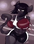  2018 abs angry anthro black_fur black_hair boxing_gloves breasts cat chalo clothed clothing feline female fur hair las_lindas looking_at_viewer mammal midriff muscular muscular_female rachael_saleigh signature solo thick_thighs webcomic yellow_eyes 