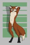  beige_belly black_paws_and_hands blue_eyes canine fox fur jerrin male mammal navel nude orange_fur pinup pose sheet_(disambiguation) simple_background solo standing 
