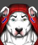  animal_crossing anthro canine clothed clothing hood k.k._slider kosmonius male mammal nintendo solo video_games 