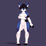  3d_(artwork) animated anthro atelierjordan black_hair black_nose blue_eyes blue_fur breasts canine digital_media_(artwork) female fur hair heart_marking looking_at_viewer mammal nude pose saki_(garasaki) solo standing white_fur wolf 