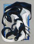 ambiguous_gender black_scales blue_eyes cetacean claws dhstein dragon hybrid mammal marine membranous_wings orca scales solo whale white_scales wings 