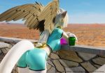  2018 anthro ashnar breasts clothed clothing ear_piercing feathered_wings feathers female glass midriff opal_(ashnar) outside piercing rear_view solo sphinx wings 