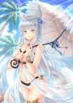  animal_ears artist_name bare_shoulders bikini blue_bow blue_flower blue_rose blue_sky blush bow breasts cloud cloudy_sky commentary_request day erune fingernails flower granblue_fantasy hair_flower hair_ornament holding holding_umbrella korwa long_hair looking_at_viewer medium_breasts navel outdoors palm_tree parasol parted_lips rose see-through signature silver_hair sky smile solo standing striped striped_bow sunlight swimsuit tree umbrella very_long_hair villyane white_bikini white_umbrella 