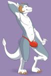  anthro bulge canine clothed clothing crossdressing dragon fur green_eyes grey_fur hammy horn hybrid looking_at_viewer male mammal simple_background skimpy skinny smile solo standing underwear 