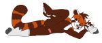  alpha_channel anthro anus clothing compfive cub cute erection feet legwear male mammal mostly_nude paws red_panda shortcat simple_background socks transparent_background young 