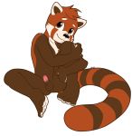  alpha_channel anthro compfive cub cute erection male mammal nude penis red_panda shortcat shy simple_background solo transparent_background young 