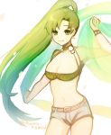  bikini fire_emblem fire_emblem:_rekka_no_ken fire_emblem_heroes green_eyes green_hair high_ponytail highres kumo_(sopurano_22) long_hair lyndis_(fire_emblem) navel pelvic_curtain ponytail shorts smile solo swimsuit 