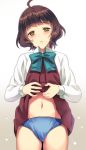  ahoge bangs blue_panties blunt_bangs blush brown_eyes brown_hair cowboy_shot dress dress_lift eyebrows_visible_through_hair kantai_collection kishinami_(kantai_collection) kyougoku_shin lifted_by_self long_sleeves looking_down navel no_legwear panties pleated_dress purple_dress school_uniform shirt short_hair simple_background solo underwear wavy_hair white_background white_shirt 