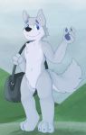  2018 anthro bag canine digital_media_(artwork) fur male mammal simple_background smile solo white_fur wolf wulfanite 