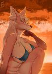  2018 5_fingers anthro big_breasts big_ears bikini black_nose bra breasts canine clothed clothing cloud detailed_background digital_media_(artwork) eyewear female fennec fox fur glasses hair hi_res huge_breasts inner_ear_fluff long_hair loyse mammal multicolored_fur outside pink_fur side_view signature skimpy solo stesha_di sunset swimsuit two_tone_fur underwear white_fur white_hair yellow_eyes 