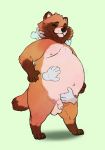  2018 anthro balls belly big_balls blush brown_fur canine chubby-shark eyes_closed floating_hands fur gloves_(marking) green_background humanoid_hands male mammal markings moobs navel nipples overweight overweight_male penis simple_background socks_(marking) solo tanuki uncut 