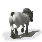 2013 ambiguous_gender equine horse invalid_tag mammal manmosu_marimo monochrome simple_background solo white_background 
