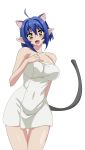  absurdres ahoge animal_ears artist_request blue_hair breasts cat_demon_girl_(shinmai_maou_no_testament_burst) cat_ears cat_tail cleavage highres horns large_breasts navel nipples shinmai_maou_no_testament solo tail towel yellow_eyes 