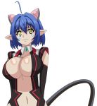  animal_ears artist_request blue_hair breasts cat_demon_girl_(shinmai_maou_no_testament_burst) cat_ears cat_tail cleavage covered_nipples elbow_gloves gloves highres horns large_breasts navel no_bra shinmai_maou_no_testament solo tail underwear yellow_eyes 