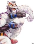  2018 abs anthro biceps clothed clothing digital_media_(artwork) duo erection feline fur grope kalchivo male mammal mask muscular muscular_male nipples open_mouth pecs penis sex solo_focus teeth tiger topless wrestler wrestling 