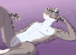  anthro bedroom cuntboy duskdragyn feline hi_res intersex leopard looking_at_viewer mammal pussy snow_leopard solo 