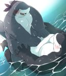  2017 anthro ayame42612 belly blush duo fish humanoid_hands male marine moobs overweight overweight_male shark sitting water wet 