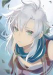  breasts eiyuu_densetsu fie_claussell green_eyes isa_(peien516) leaf long_hair looking_at_viewer scarf sen_no_kiseki silver_hair small_breasts solo upper_body 