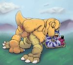  agumon anal anal_penetration balls butt digimon dinosaur eyes_closed feet gabumon grass half-closed_eyes happy happy_sex male male/male on_top outside penetration penis rad-lizer scalie sex smile sweat 