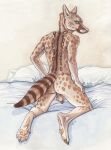  2018 5_toes anthro athletic back_muscles backsack balls bed beige_penis biped brown_fur brown_markings brown_spots brown_tail butt cape_genet claws eye_markings facial_markings flaccid frown full-length_portrait fur genet grey_claws grey_eyes hand_on_leg hi_res hindpaw humanoid_hands humanoid_penis inner_ear_fluff kneeling lighting looking_back male mammal markings multicolored_fur muzzle_scabs nude on_bed pawpads paws penis perineum pillow pink_nose portrait rear_view ringtail saggy_balls shadow snout solo spots spotted_fur tan_balls tan_fur tan_pawpads toe_claws toes traditional_media_(artwork) ulos12 uncut viverrid watercolor_(artwork) whiskers white_fur 