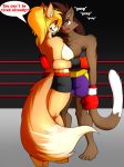  2017 4_toes anthro black_nose blonde_hair blood boxing boxing_gloves breasts brown_eyes brown_fur brown_hair brown_tail canid canine clothed clothing deborah_bispo dialogue dipstick_tail domestic_cat duo english_text enola_(mlpboxing) eye_contact eyebrows eyelashes felid feline felis female fighting_ring fox fur hair hi_res inner_ear_fluff mammal mlpboxing mouthguard multicolored_tail panting pink_nose ponytail red_eyes shorts speech_bubble sport standing tan_fur text toes topless white_tail 