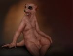  hairless herpestid male mammal meerkat mongoose nude penis simple_background solo splice_(artist) transformation 
