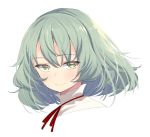  akino_sora bangs blush closed_mouth commentary_request eyebrows_visible_through_hair face green_eyes green_hair hair_between_eyes looking_at_viewer neck_ribbon original portrait red_ribbon ribbon simple_background smile solo white_background 