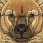  2010 ambiguous_form ambiguous_gender black_nose brown_eyes brown_fur brown_spots eye_markings facial_markings front_view fur giant_short-faced_hyena gouache_(artwork) headshot_portrait hyena icon looking_at_viewer mammal markings multicolored_fur photorealism portrait signature snout solo spots spotted_fur synnabar tan_fur tan_markings traditional_media_(artwork) two_tone_fur whiskers 