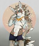  balls blush canine clothed clothing ear_piercing erection foreskin jewelry male mammal mane_hair navel necklace pants_down partially_clothed penis piercing seth_(tas) shorts small_penis tokyo_afterschool_summoners wolf 赫卡huka 