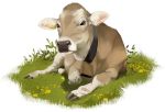  2018 alpha_channel bovine brown_swiss_cattle cattle collar cowbell ear_tag eyelashes female feral flower grass hooves lying mammal nakoo on_ground plant simple_background solo transparent_background 