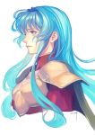  aqua_eyes aqua_hair armor aureolin31 bangs breastplate chest_armor closed_mouth commentary_request eirika fire_emblem fire_emblem:_seima_no_kouseki fire_emblem_heroes high_collar highres lips long_hair pauldrons profile red_shirt shirt shoulder_armor shoulder_pads sidelocks 