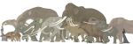  2018 african_bush_elephant african_elephant ambiguous_gender asian_elephant beady_eyes better_version_at_source big_ears biped black_skin black_tail brown_countershading brown_fur brown_markings brown_skin brown_tail clothed clothing comparison countershade_torso countershading deinotherium digital_drawing_(artwork) digital_media_(artwork) dress elephant eye_markings facial_markings female feral fur gomphotherium grey_skin grey_spots grey_tail group hair hairy hand_on_chest hand_on_hip human large_group larger_ambiguous larger_female larger_feral larger_human mammal mammoth markings mastodon moeritherium multicolored_skin open_mouth pink_countershading pink_skin plantigrade platybelodon proboscidean pygmy_elephant quadruped rainbowleo raised_leg side_view silhouette simple_background size_difference smaller_ambiguous smaller_female smaller_feral smaller_human spots spotted_skin standing stegotetrabelodon tail_tuft trunk tuft tusks two_tone_skin two_tone_tail walking white_background 