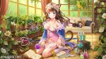  animal_ears atelier_(series) atelier_totori blue_eyes blue_sleeves blush book bookmark bookshelf boots breasts brown_hair cat cat_ears cat_tail character_request closed_mouth cosplay couch curtains cushion headdress high_heels indoors long_hair looking_at_viewer medium_breasts mwwhxl on_floor open_book plant potted_plant round-bottom_flask sitting solo staff tail test_tube totooria_helmold totooria_helmold_(cosplay) wariza watermark white_footwear window wooden_floor 