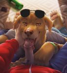  anthro bojack_horseman canine clothed clothing cum cum_on_face cum_on_muzzle dog erection human human_on_anthro interspecies licking male male/male mammal mr._peanutbutter oral penis penis_lick pubes sex todd_chavez tongue tongue_out zen 