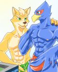  avian bird building bulge canine clothing falco_lombardi fox fox_mccloud gomsin940 grope macro male mammal nintendo speedo star_fox swimsuit video_games 