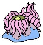  1_eye 2017 alternate_species ambiguous_gender blue_body bugdex cnidarian corsola digital_drawing_(artwork) digital_media_(artwork) fak&eacute;mon feral front_view full-length_portrait grey_body marine nintendo pink_tentacles pok&eacute;mon pok&eacute;mon_(species) portrait ricky_hoffman rock sea_anemone simple_background solo tentacles toony two_tone_body video_games white_background yellow_eyes 