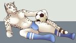  2016 5_fingers abs anthro ball biped blep boxers_(clothing) bulge clothed clothing feline fur hair humanoid_hands legwear leopard looking_at_viewer lying male mammal navel on_side partially_clothed pouncefox simple_background snow_leopard soccer_ball socks tongue tongue_out topless underwear victory_(texdot) whiskers 