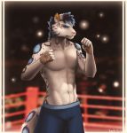  2016 5_fingers anthro biped boxers_(clothing) boxing clothed clothing feline fight fighting_ring fist kirena-kaya leopard male mammal navel snow_leopard sport standing topless underwear victory_(texdot) wrappings 