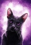  2018 ambiguous_gender black_fur black_nose cat digital_media_(artwork) feline fleetingember fur mammal purple_background purple_eyes simple_background whiskers 