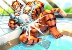  abdominal_bulge anal anal_penetration armpit_hair big_penis cum cum_inflation dingding duo felid forced inflation invalid_tag koshinn_(character) male male/male mammal pantherine penetration penis rape size_difference tiger 