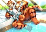  abdominal_bulge anal anal_penetration armpit_hair balls big_penis dingding duo felid forced invalid_tag koshinn_(character) male male/male mammal pantherine penetration penis rape size_difference tiger 