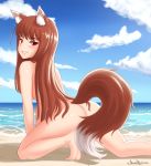  all_fours animal_ears ass beach blush brown_hair cloud commentary covering covering_crotch cslucaris english_commentary eyebrows_visible_through_hair holo long_hair looking_at_viewer nude ocean red_eyes signature sky smile solo spice_and_wolf tail wolf_ears wolf_tail 