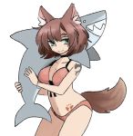  :&gt; animal_ear_fluff animal_ears bare_shoulders bikini black_choker blush breasts brown_hair choker closed_mouth commentary cowboy_shot english_commentary fox_ears fox_tail green_eyes halterneck highres holding large_breasts latenight looking_at_viewer no_nose orange_bikini original shark short_hair shoulder_tattoo smile solo swimsuit tail tattoo transparent_background wristband 