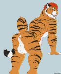  2018 akkusky anthro anus balls belly big_balls big_belly butt cum cum_in_pussy cum_inside cum_leaking feline grey_background herm intersex looking_back maleherm mammal muscular muscular_herm muscular_intersex pussy simple_background solo tiger 