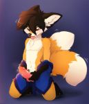  2018 anthro balls canine clothing fluffy fluffy_tail fox knot magenta7 male mammal penis precum robe sabre_dacloud solo 