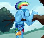  anthro anthrofied big_butt blue_feathers breasts butt equine feathered_wings feathers female friendship_is_magic mammal my_little_pony pegasus rainbow_dash_(mlp) solo somescrub under_boob wings 