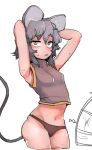  animal_humanoid breasts clothed clothing electric_fan female grey_hair hair humanoid mammal mouse_humanoid navel nazrin nyong_nyong open_mouth panties pink_eyes rodent shirt short_hair solo sweat touhou underwear 